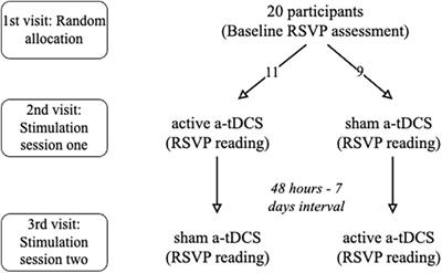 Visual cortex anodal transcranial direct current stimulation does not alter reading performance for Chinese presented character-by-character to normal peripheral vision in older adults